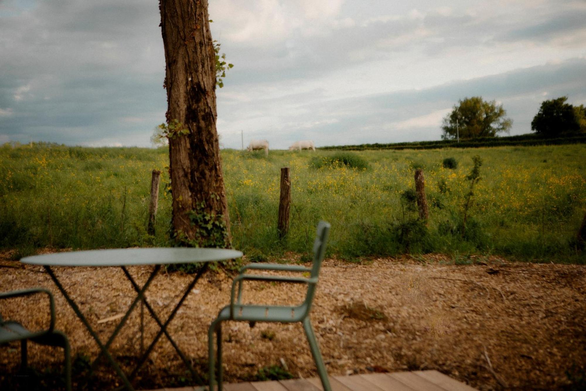 La Suite Nature By Lumipod X Tomette Singuliere Chateau  ภายนอก รูปภาพ